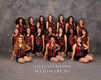SHS Dance Team