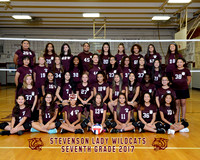 Stevenson 7th Grade Volleyball 2017
