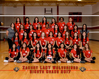 Zachry 8th Grade Volleyball 2017