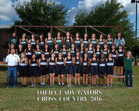 OMS Cross Country 2016