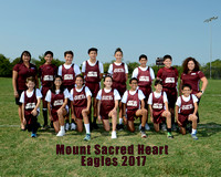 MSH Cross Country 2017