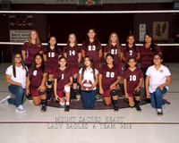 MSH Volleyball